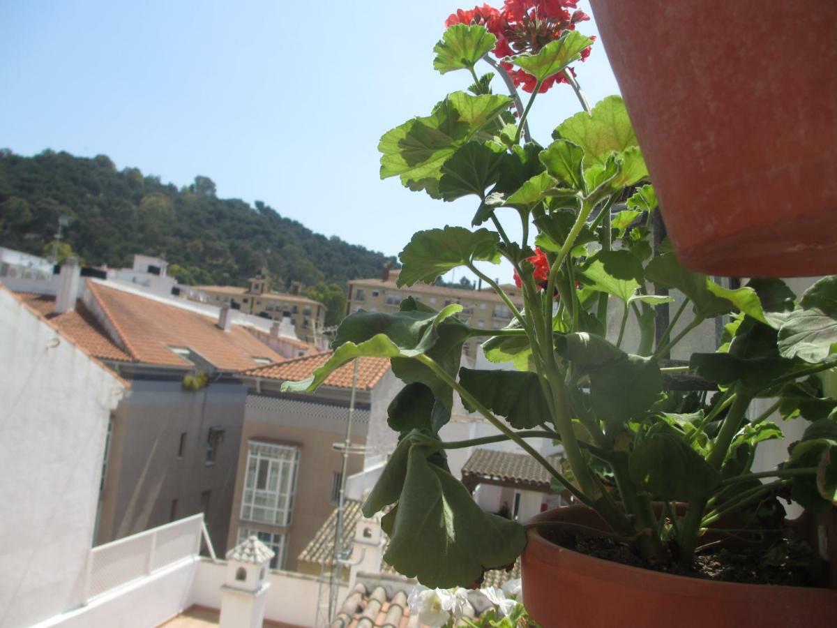 Appartamento Junto a la casa natal de Picasso Málaga Esterno foto